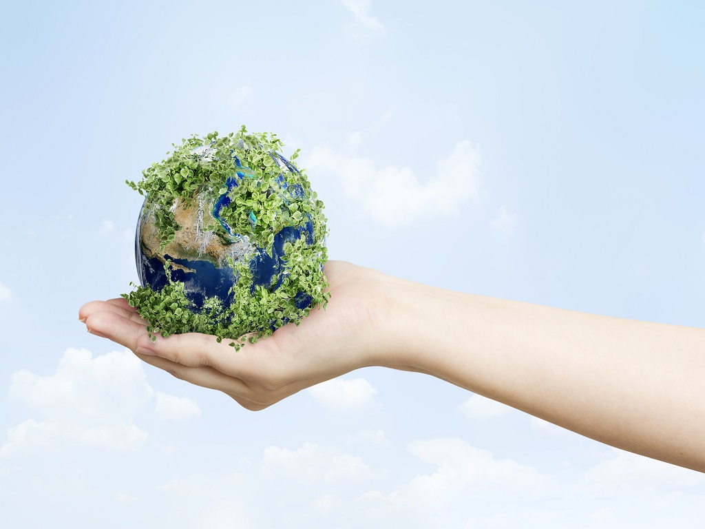 Environmental Auditing – What is it & What is its Significance?