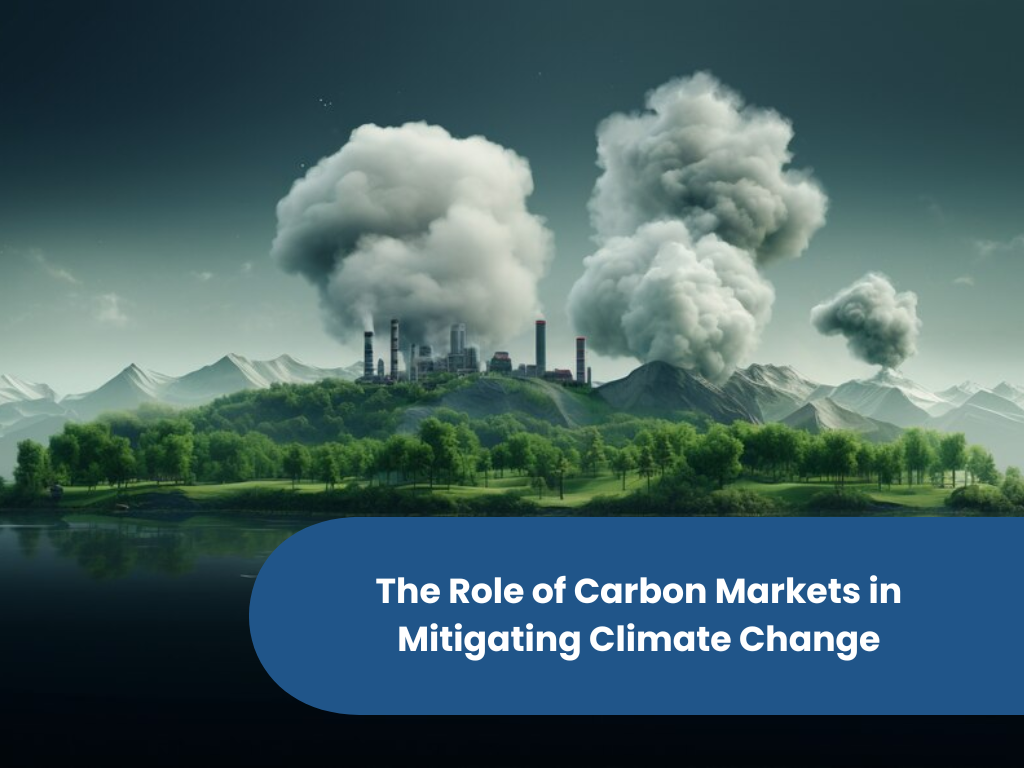 The Role of Carbon Markets in Mitigating Climate Change