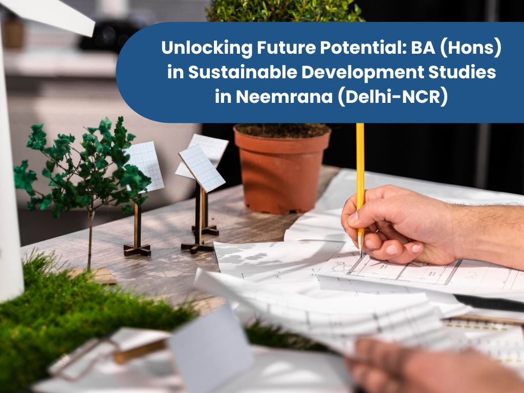 Unlocking Future Potential: BA (Hons) in Sustainable Development Studies in Neemrana (Delhi-NCR)