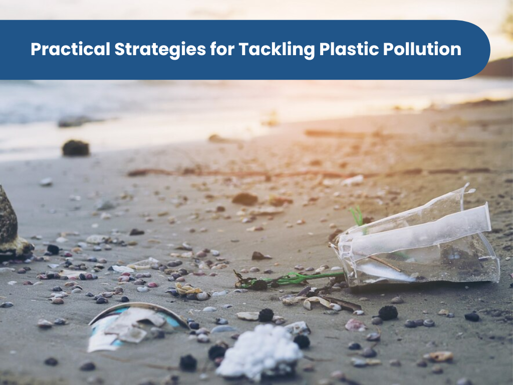 Practical Strategies for Tackling Plastic Pollution